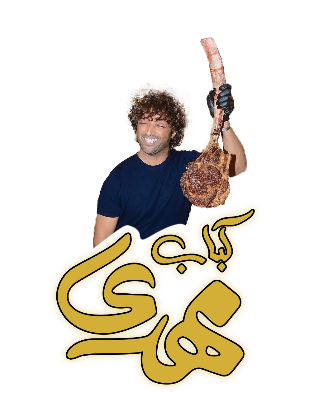 kabab mahdi logo
